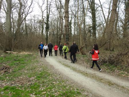 Regijska prireditev ob slovenskem Tednu boja proti raku »Evropski kodeks = manj raka« 26